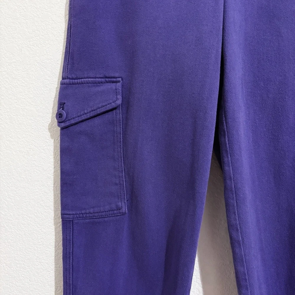 Aritzia Wilfred Free Modern High-Waisted Twill Cargo‎ Pants in Purple